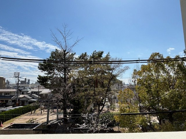 SAKURA PARKの展望