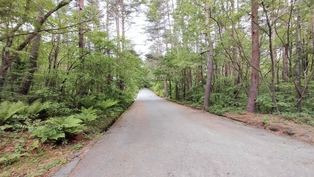 浅間ハイランドパーク前面道路は8mで広々角地の前面道路含む現地写真