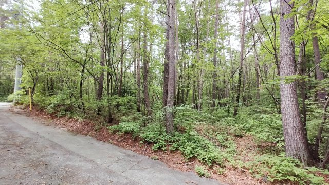 浅間ハイランドパーク前面道路は8mで広々角地の前面道路含む現地写真
