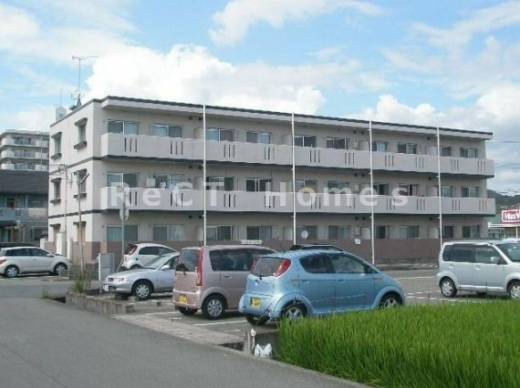 カスタムコート