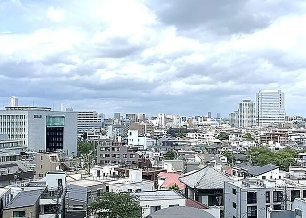 文京区本駒込１丁目の中古マンションの展望