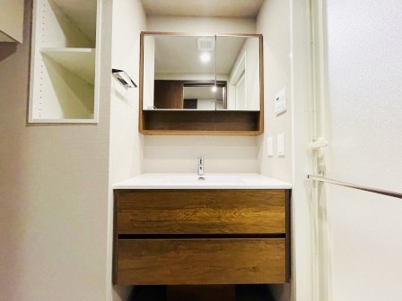 テラス駒込サウスの洗面所