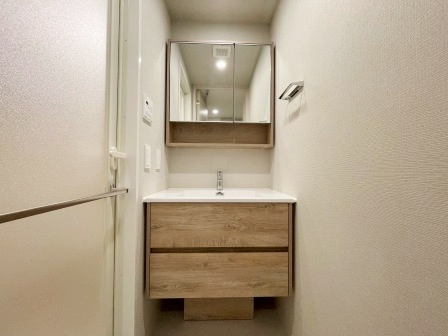 テラス駒込サウスの洗面所