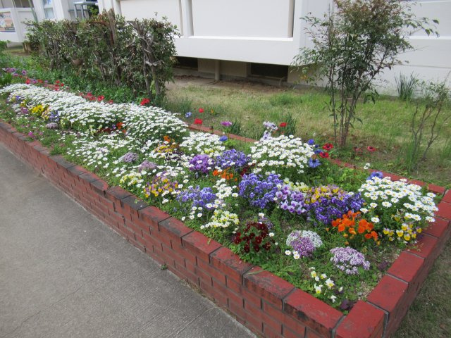 兵庫県公社　芦屋浜高層（高浜）１号棟のその他共用部分|自治会のかたが花壇のお手入れをされています