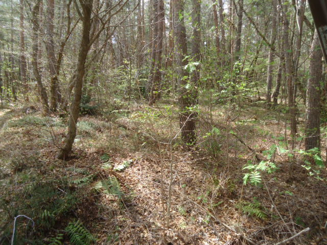 有効的で多彩なプランが可能な　2面道路　土地 のその他