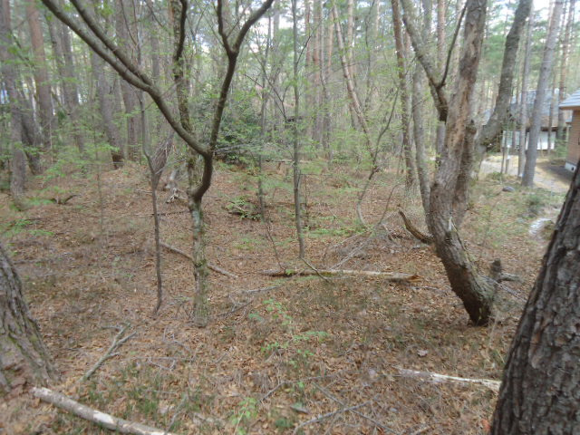 有効的で多彩なプランが可能な　2面道路　土地 のその他