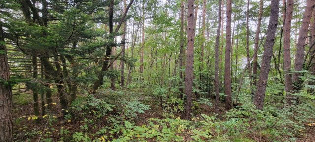 有効的で多彩なプランが可能な　2面道路　土地 のその他