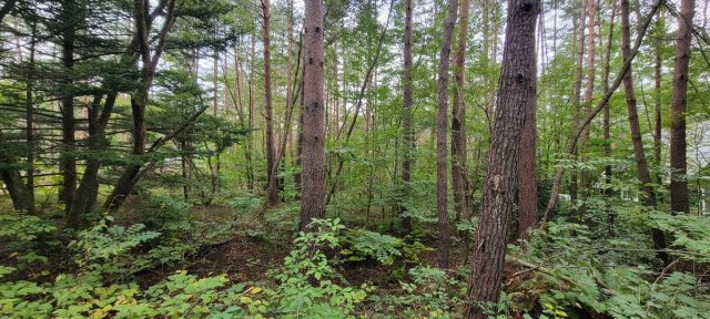 有効的で多彩なプランが可能な　2面道路　土地 のその他