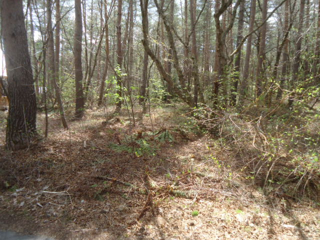 有効的で多彩なプランが可能な　2面道路　土地 の前面道路含む現地写真