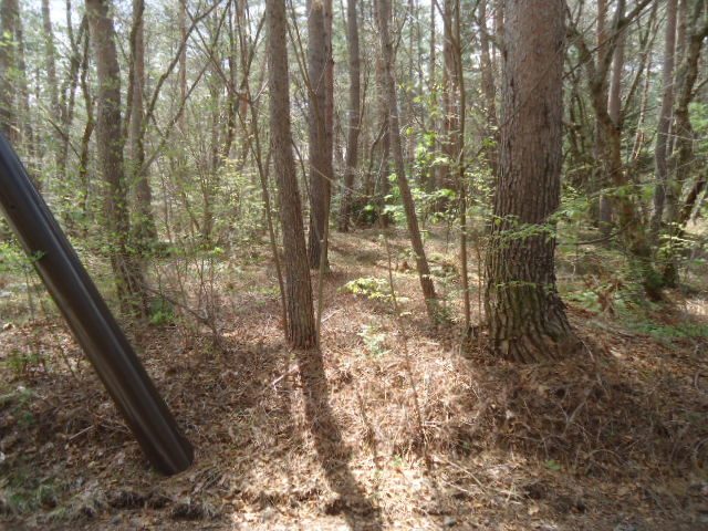 有効的で多彩なプランが可能な　2面道路　土地 の前面道路含む現地写真