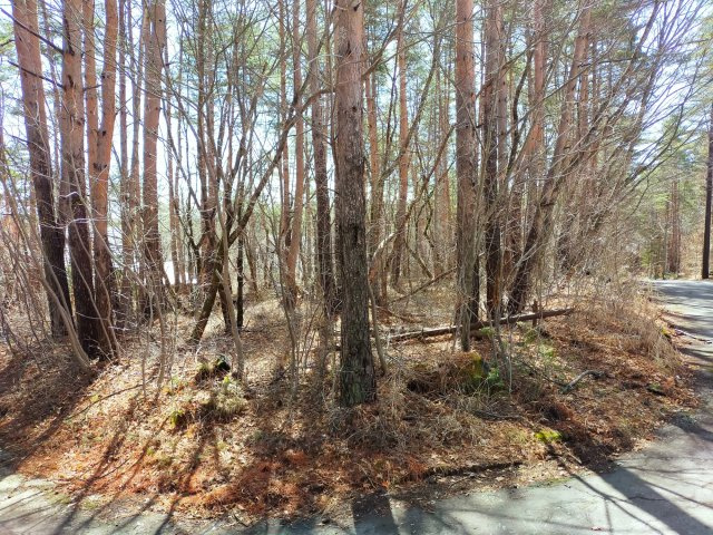 浅間ハイランドパーク角地2面道路で多彩なプランニング