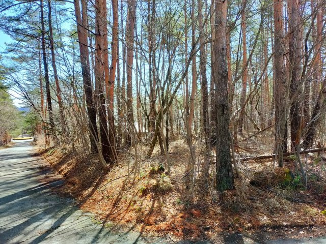 浅間ハイランドパーク角地2面道路で多彩なプランニングの前面道路含む現地写真