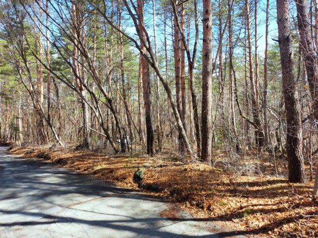 浅間ハイランドパーク角地2面道路で多彩なプランニングの前面道路含む現地写真