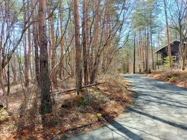 浅間ハイランドパーク角地2面道路で多彩なプランニングの前面道路含む現地写真