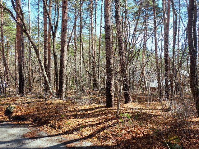 浅間ハイランドパーク角地2面道路で多彩なプランニングの前面道路含む現地写真