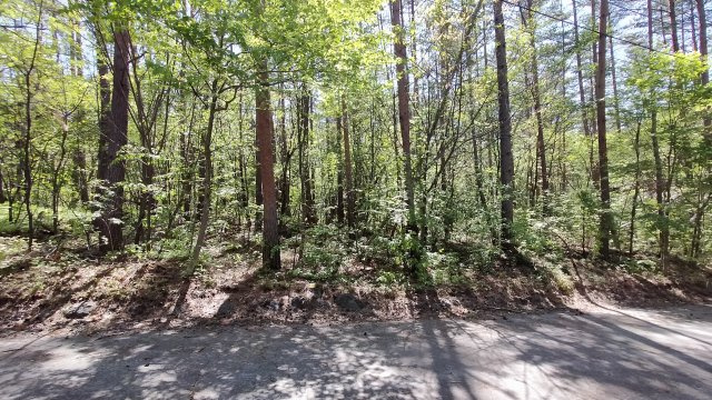 浅間ハイランドパーク 平坦で建築のしやすい土地