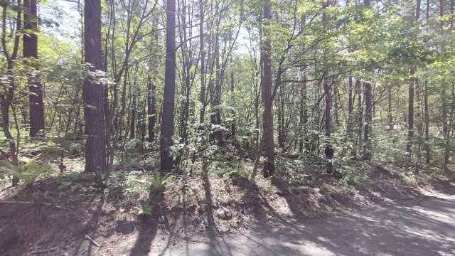 浅間ハイランドパーク 平坦で建築のしやすい土地の前面道路含む現地写真