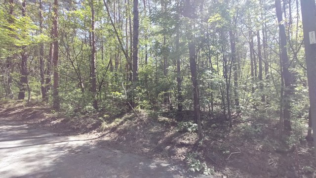 浅間ハイランドパーク 平坦で建築のしやすい土地の前面道路含む現地写真