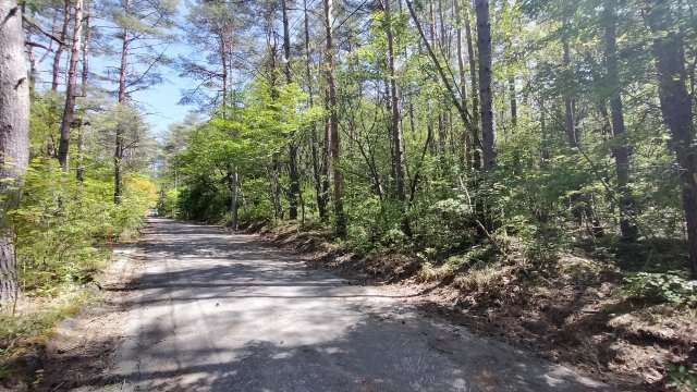 浅間ハイランドパーク 平坦で建築のしやすい土地の前面道路含む現地写真