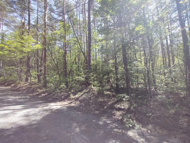 浅間ハイランドパーク 平坦で建築のしやすい土地の前面道路含む現地写真