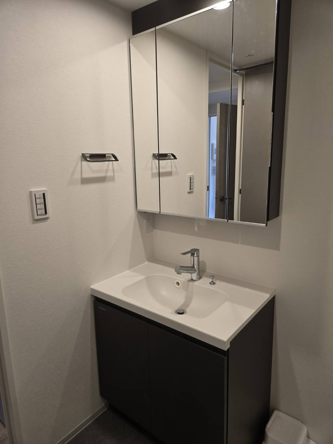 オープンブルーム入谷Eastの独立洗面台