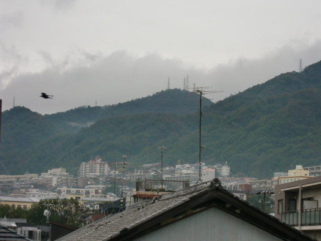 リバーサイドの展望