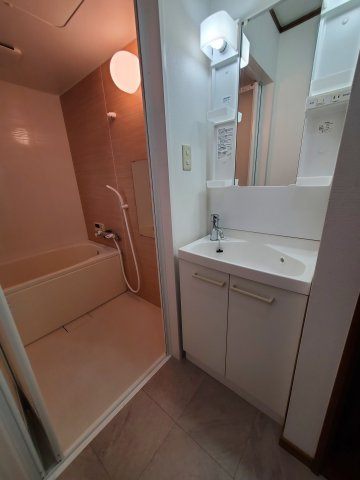 東大阪市長栄寺　中古戸建の独立洗面台