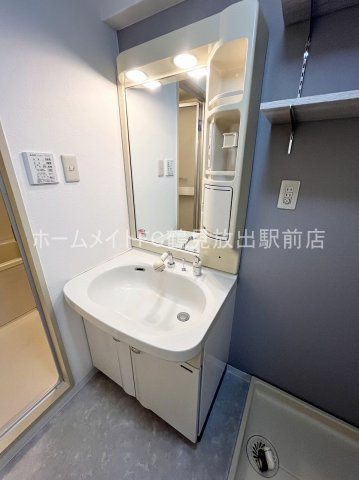 大阪市鶴見区諸口６丁目の賃貸マンションの独立洗面台