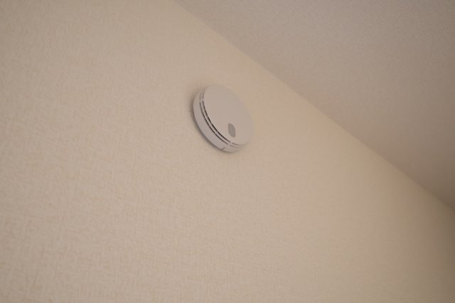 《仲介手数料無料》岩槻区大字岩槻503(2号棟)新築一戸建てリーブルガーデンのその他|撮影日 2025年10月18日 16:00 晴れ