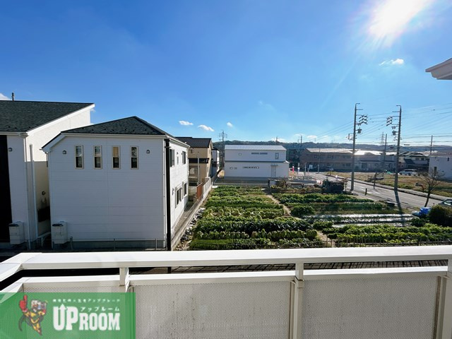 グレースⅢの展望