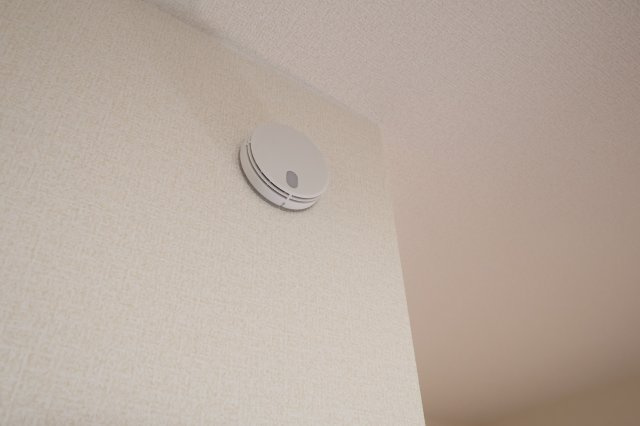 《仲介手数料無料》岩槻区大字岩槻6753(4号棟第2)新築一戸建てリーブルガーデンのその他|撮影日 2025年11月22日 13:30 晴れ