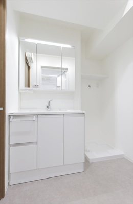 【独立洗面台】 | リベルジェ上板橋