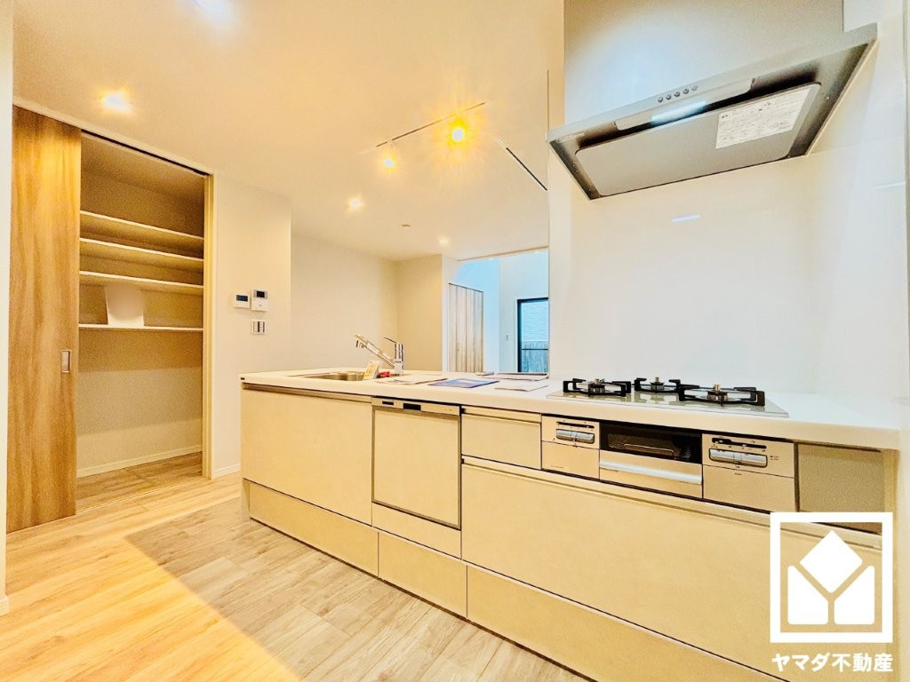 伏見区桃山井伊掃部東町　NO.2　B号棟のキッチン