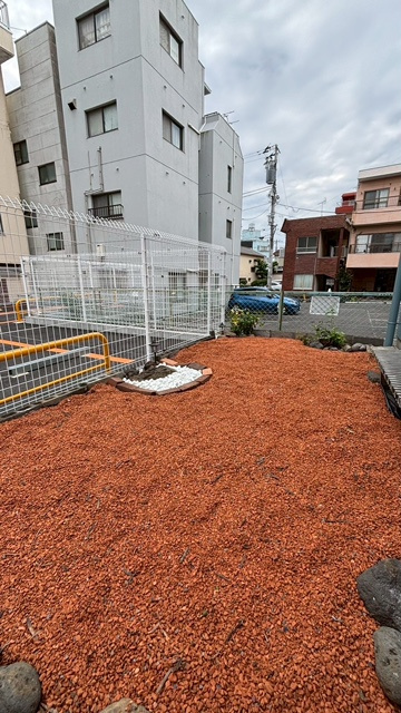 ＬｉｔｔｌｅＮｅｓｔの庭