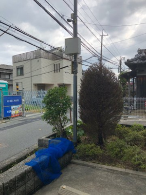 【その他】 | ダンディーアミ