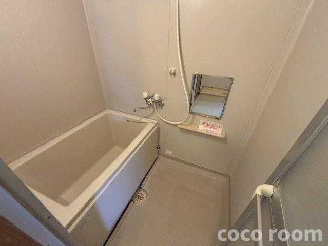 プレアデスⅡの浴室