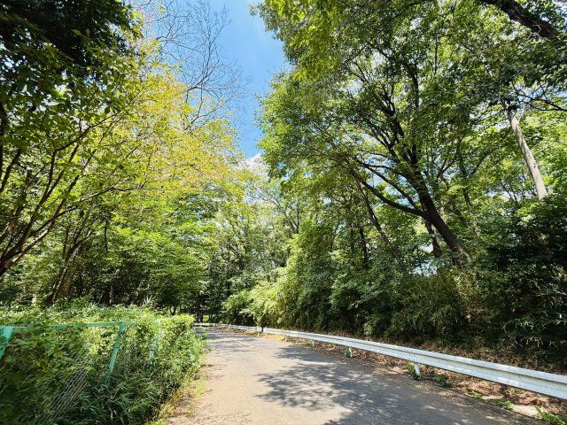 東松山市大字大谷 土地738坪の周辺|南側道路