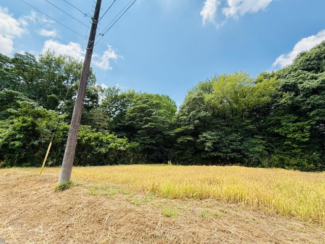 東松山市大字大谷 土地834坪の周辺|北東から、森が対象部分