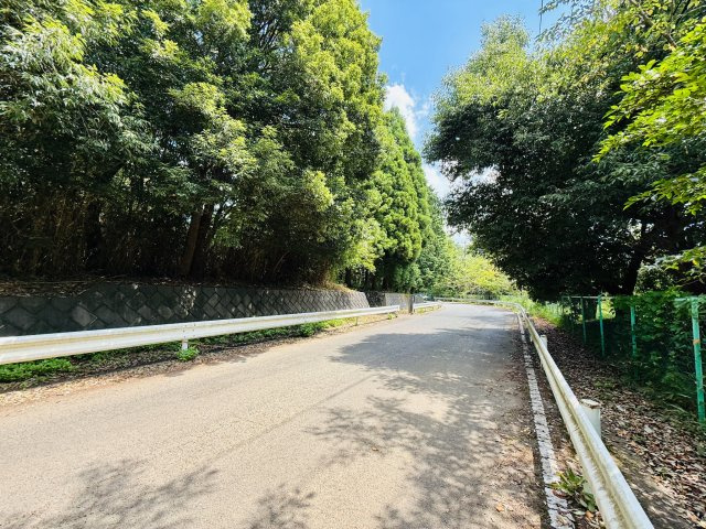 東松山市大字大谷 土地834坪の周辺|北東から、森が対象部分