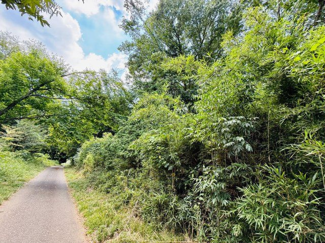 東松山市大字大谷 土地834坪の周辺|東側道路、右が対象部分