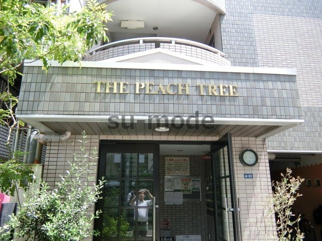 ザ・ピーチツリーの周辺