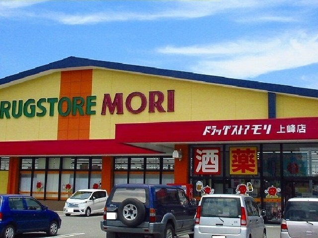 セントラルビレッジＢの周辺|モリ上峰店まで1150m