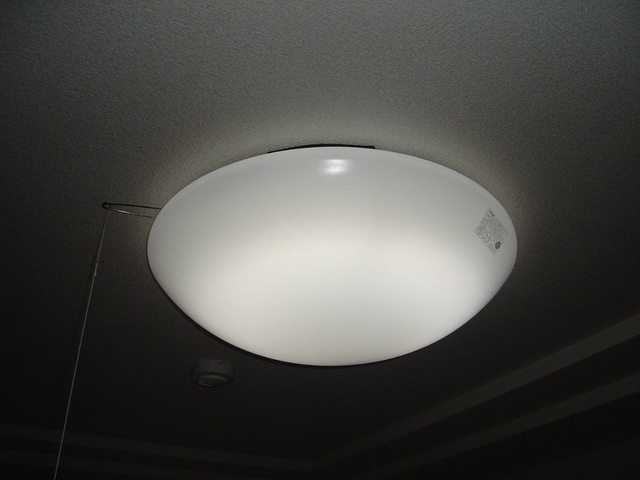 ディアベルジュⅡ|シーリングライト