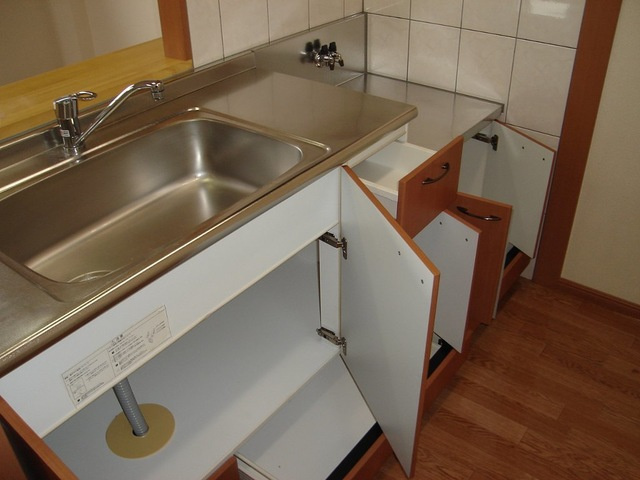 ディアベルジュⅡのキッチン|キッチン