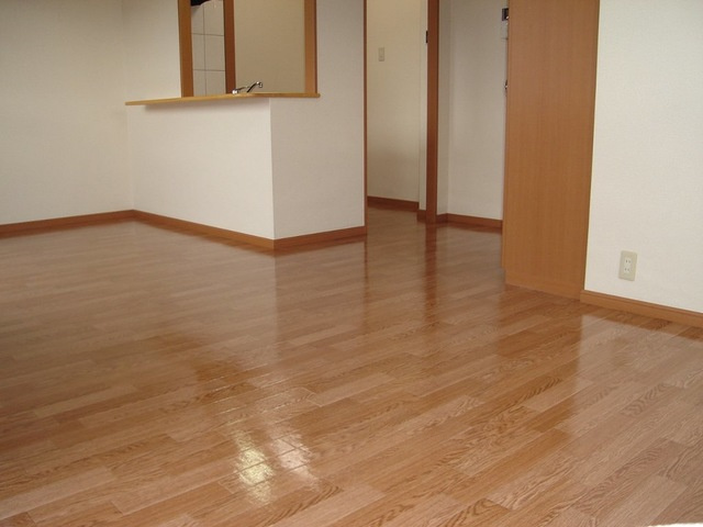 ディアベルジュⅡの居間・リビング|リビング