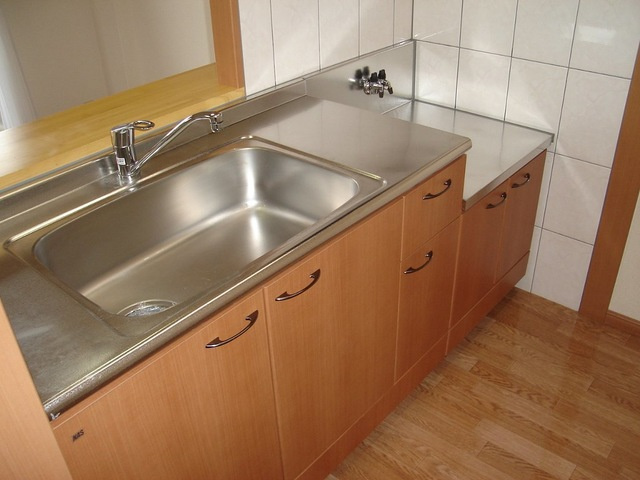 ディアベルジュⅡのキッチン|キッチン