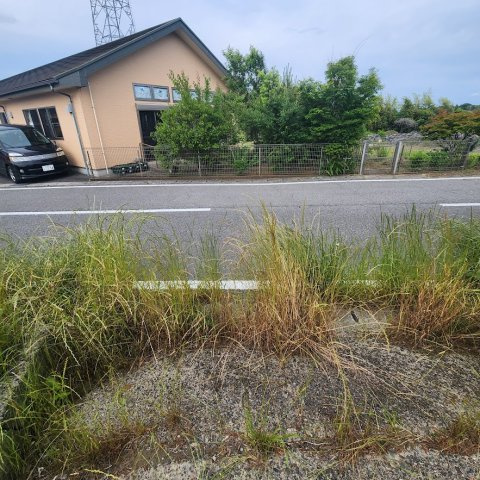 【前面道路含む現地写真】の画像
