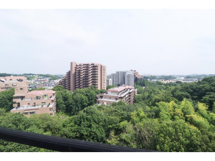 【物件からの展望】