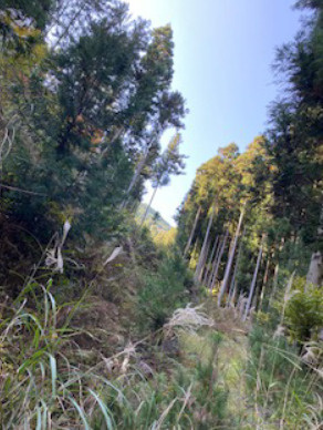 下呂市萩原町西上田の売地の周辺
