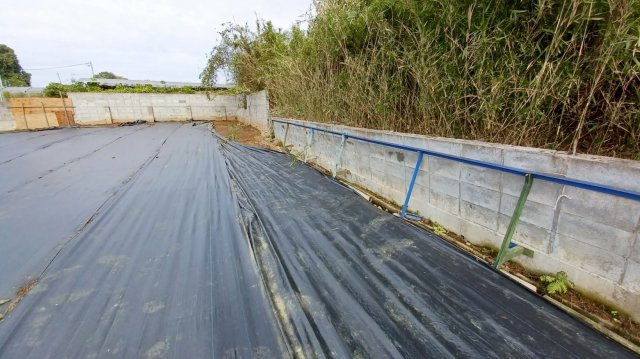 東松山市大谷　土地135坪の外観